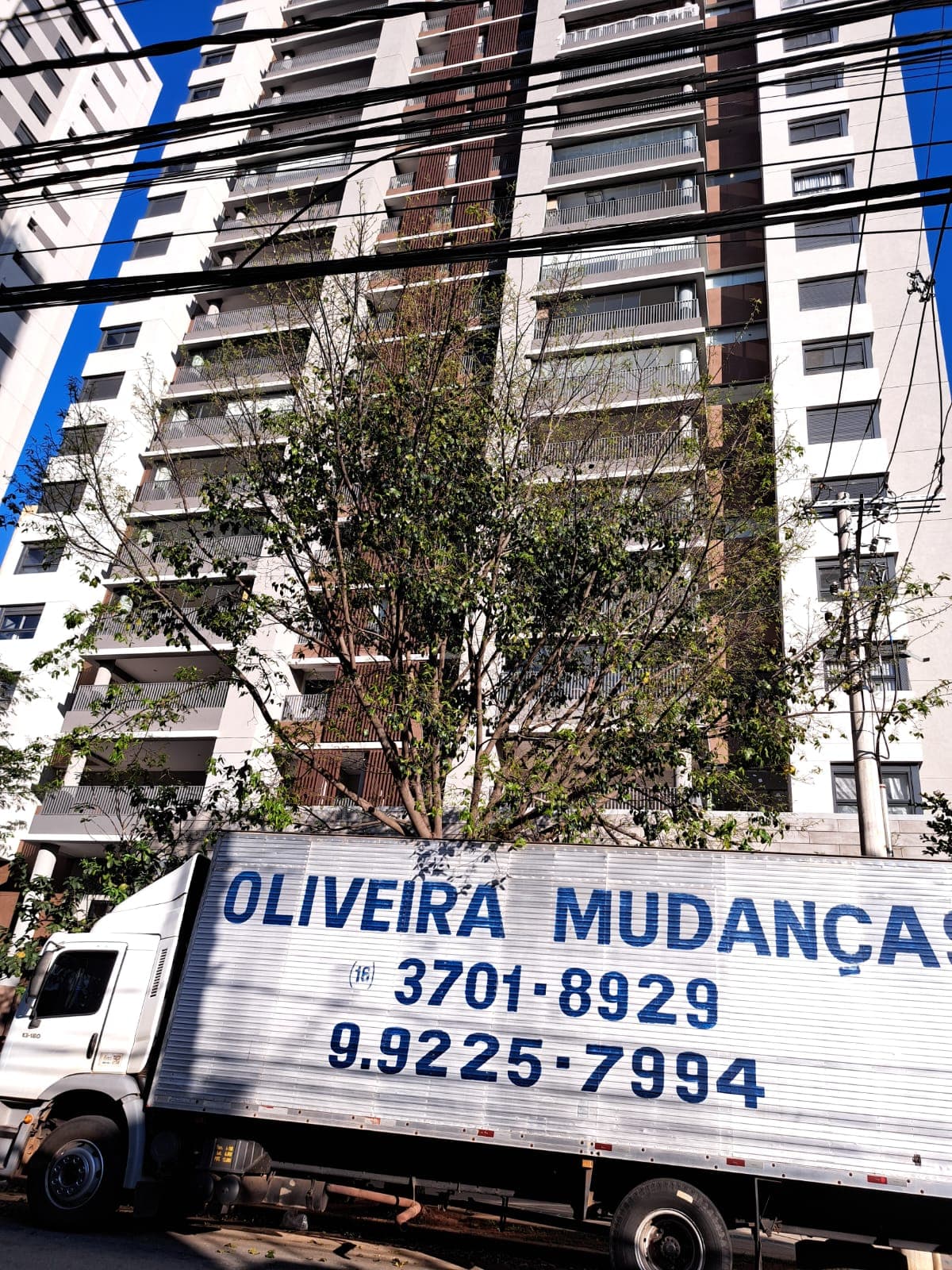 Caminhão e frota Oliveira Mudanças em operação